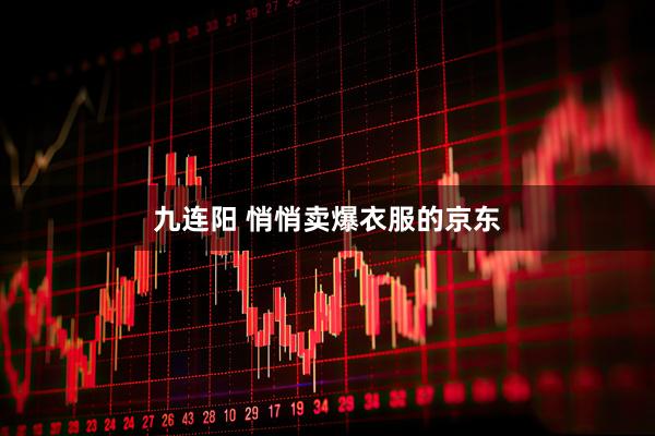 九连阳 悄悄卖爆衣服的京东