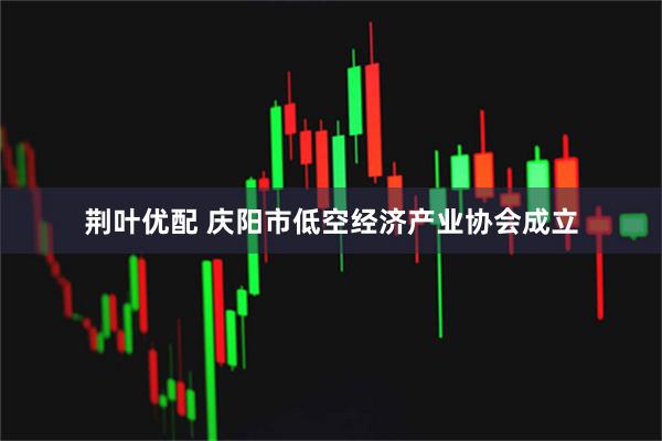 荆叶优配 庆阳市低空经济产业协会成立