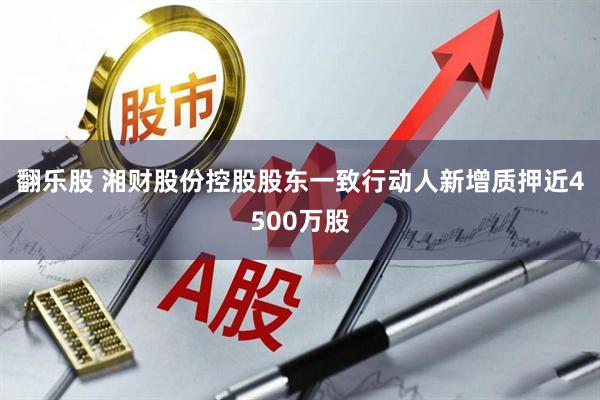 翻乐股 湘财股份控股股东一致行动人新增质押近4500万股