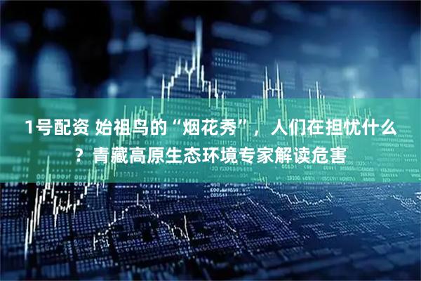 1号配资 始祖鸟的“烟花秀”，人们在担忧什么？青藏高原生态环境专家解读危害