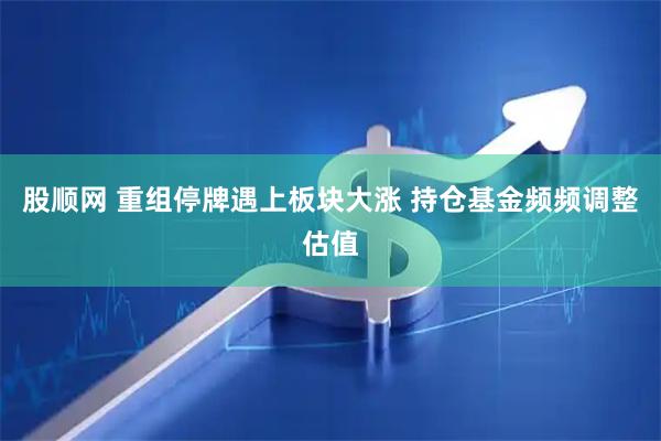 股顺网 重组停牌遇上板块大涨 持仓基金频频调整估值