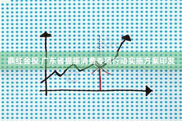 鼎红金投 广东省提振消费专项行动实施方案印发