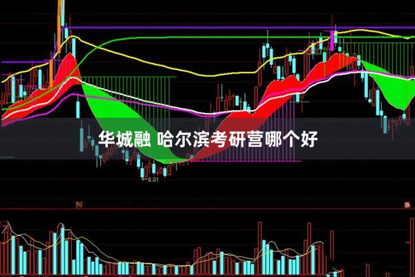 华城融 哈尔滨考研营哪个好