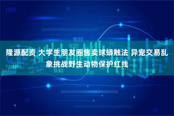 隆源配资 大学生朋友圈售卖球蟒触法 异宠交易乱象挑战野生动物保护红线